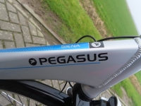 Pegasus Siena Bosch middenmotor  D50  7 Vers nieuwstaat