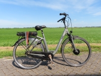 Qwic Trend D50 7 V