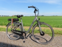 Qwic Trend D50 7 V