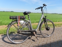 Qwic Trend D50 7 V