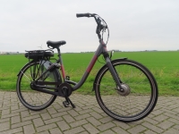 Trenergy E- Luxe 8V D55 Nieuwe accu