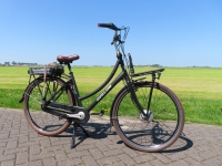 Avalon E-Cargo  D51 7 Versnellingen