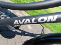 Avalon E-Cargo  D51 7 Versnellingen