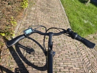 Qwic MN7  Premium H60