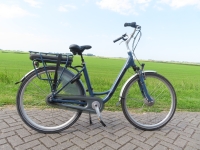 Vogue  Basic 7V