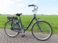 Vogue  Basic 7V