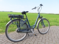 Vogue  Basic 7V
