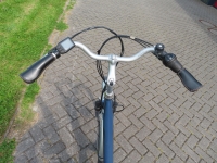 Vogue  Basic 7V