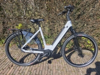 Trenergy Sportive BJ 2025 - D54 - 8V - middenmotor