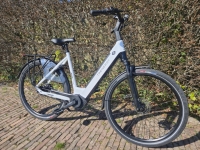 Trenergy Sportive BJ 2025 - D54 - 8V - middenmotor