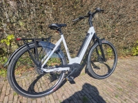 Trenergy Sportive BJ 2025 - D54 - 8V - middenmotor