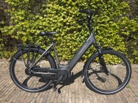 Trenergy Active BJ 2024- D54 - 8V - middenmotor