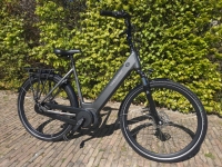 Trenergy Active BJ 2024- D54 - 8V - middenmotor