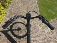 Trenergy Active BJ 2024- D54 - 8V - middenmotor