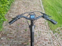 Trenergy Active - D54 - 8V - middenmotor