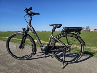 Ebike Das Original Comfort Plus Wave &ndash; N8 - D44 bosch MM
