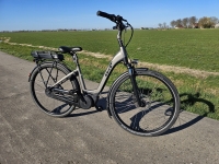 Ebike Das Original Comfort Plus Wave &ndash; N8 - D44