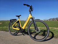 Sparta D-Rule Energy - D53