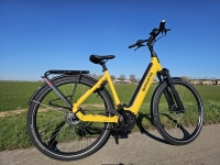 Sparta D-Rule Energy - D53