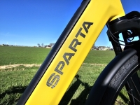 Sparta D-Rule Energy - D53