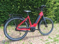 Gazelle Ultimate C8  +   D49