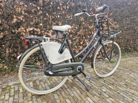 Sparta Pickup Country - D57