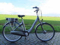 Icycle (Tenergy)  E luxe D51
