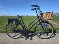 Gazelle Miss grace /Heavy duty Bosch MM D59