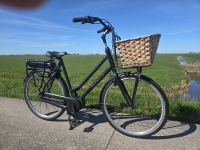 Gazelle Miss grace /Heavy duty Bosch MM D59