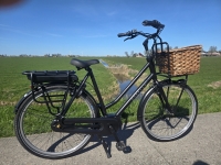 Gazelle Miss grace /Heavy duty Bosch MM D59