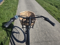 Gazelle Miss grace /Heavy duty Bosch MM D59