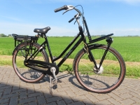 Gazelle Miss grace nieuwe accu D50