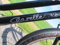 Gazelle Miss grace nieuwe accu D50