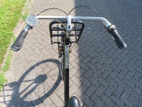 Gazelle Miss grace nieuwe accu D50
