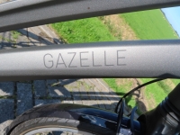 Gazelle Chamonix T30 D57 30 Versnellingen BJ 2023