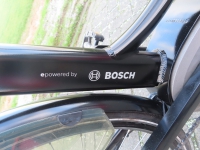 Dutch id D53 8V Bosch