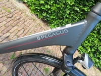 Pegasus SIENA I D53 I  8 Vers I  Bosch