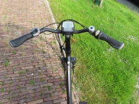 Pegasus SIENA I D53 I  8 Vers I  Bosch