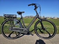 Stella Vicenza - D54