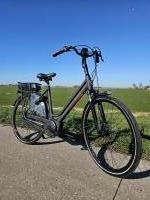 Stella Vicenza - D54