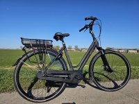 Stella Vicenza - D54