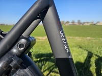 Stella Vicenza - D54