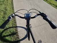 Stella Vicenza - D54