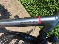 Pegasus  Ravenna E8F- D60   kmst 7700