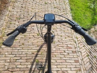 Trek LM2+ D54 8 Versnellingen Bosch