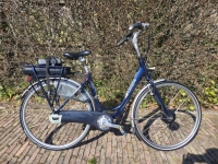 Gazelle Orange C7 D53 7 Vers