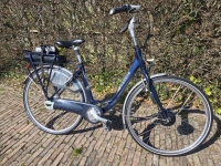 Gazelle Orange C7 D53 7 Vers