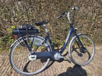 Gazelle Orange C7 D53 7 Vers