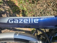 Gazelle Orange C7 D53 7 Vers