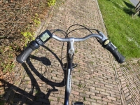 Gazelle Orange C7 D53 7 Vers